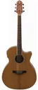 Электроакустика CRAFTER GAE-7/NC VVS